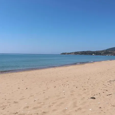 Bizos *