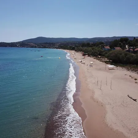 Bizos Koróni