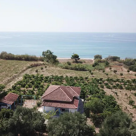 Bizos *