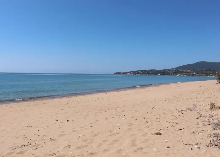 Bizos *