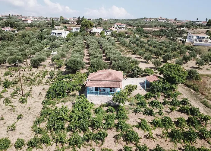 Bizos Casa de Férias *