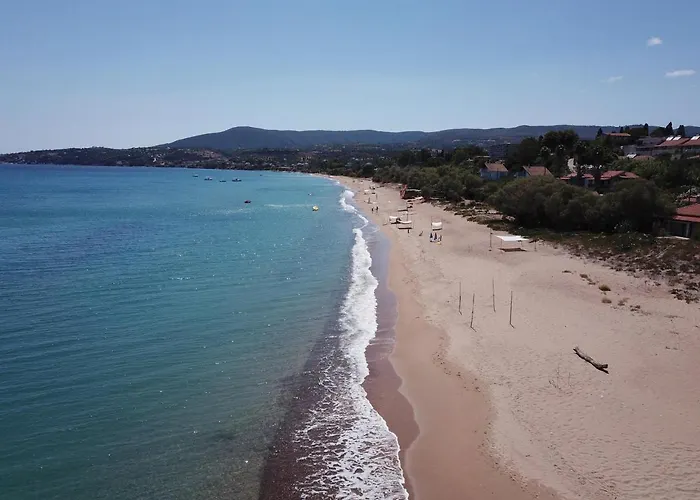 Bizos Koróni