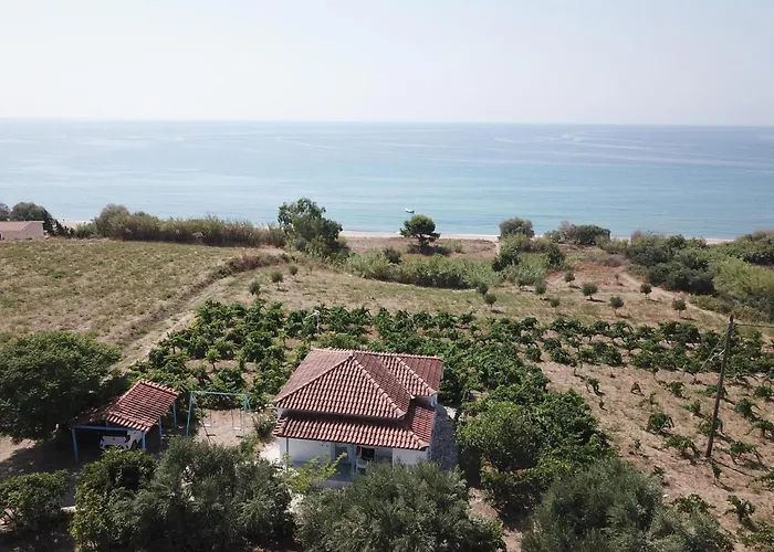 Bizos *