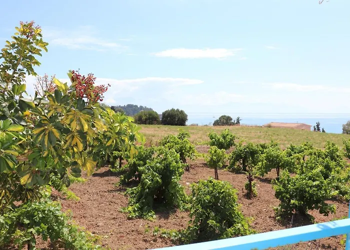 Hébergement de vacances Bizos Koróni